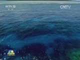 海洋争端解决国际法研讨会在港举行