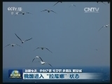 国内联播快讯