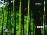 【江山多娇】七彩家国 绿色发展