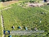 海南：创新模式助力精准扶贫