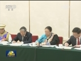 王岐山参加青海代表团审议