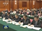 王岐山参加湖南代表团审议