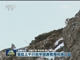 国内联播快讯