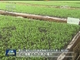 春耕新图景 田野新希望