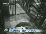 国际联播快讯