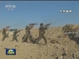叙军方称一战机被国际联盟击落