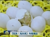 国内联播快讯
