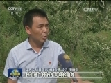 陕西：以生态建设带动脱贫