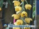 国际联播快讯