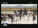 央视新闻频道明天上午播出迎接十九大特别节目《还看今朝》山东篇
