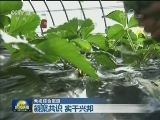 【新时代 新征程】凝聚共识 实干兴邦