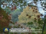 生态美景入画来