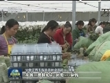 【在习近平新时代中国特色社会主义思想指引下】甘肃：聚焦深度贫困 精准扶贫无死角