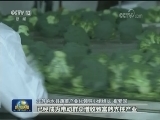 江苏：科技富农 打造农业发展新引擎