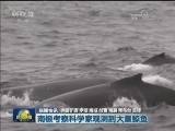 国内联播快讯