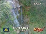 春天的中国：阳和启蛰 品物皆春