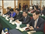 王沪宁参加贵州代表团审议