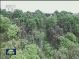 国内联播快讯