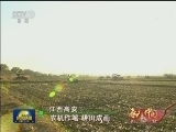 春天的中国
