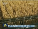 美国多行业：错误政策伤及本国经济