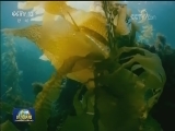 山东：面向大海 挺进深蓝