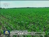 农业农村部：我国已实现“中国粮”主要用“中国种”