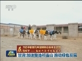 【在习近平新时代中国特色社会主义思想指引下——新时代 新作为 新篇章】甘肃：加速整治祁连山 推动绿色发展