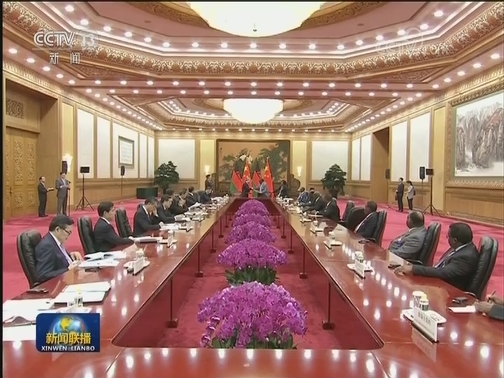 习近平会见马拉维总统