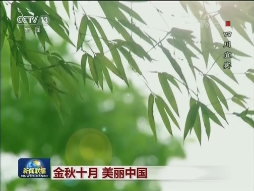 金秋十月 美丽中国