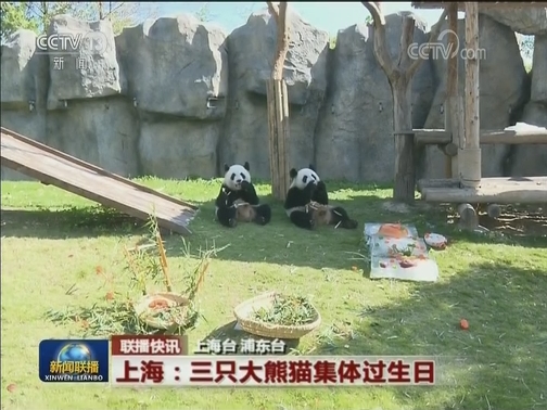 国内联播快讯