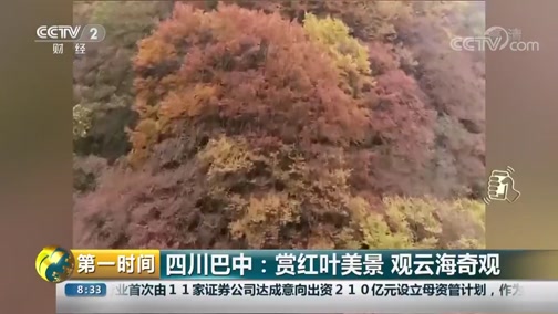 [第一时间]四川巴中:赏红叶美景 观云海奇观CCTV节目官网CCTV2央视网(cctv.com)