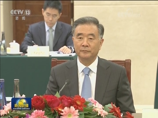 汪洋会见柬埔寨参议院主席