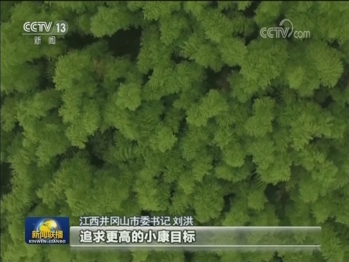 【新时代担当作为典型风采】刘洪：当好新时代的“答卷人”