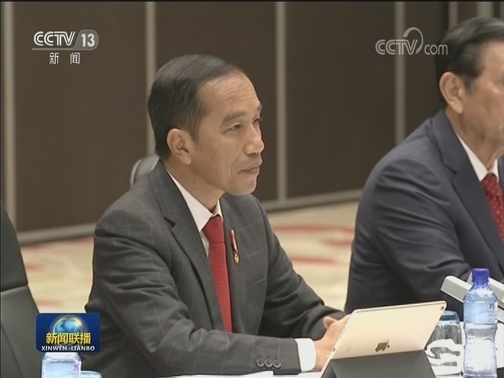 习近平会见印度尼西亚总统