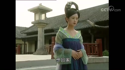大明宫词 21集