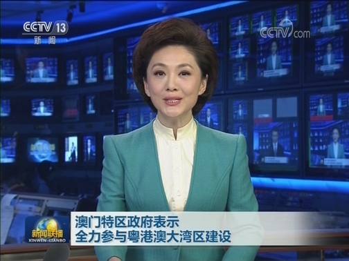 澳门特区政府表示全力参与粤港澳大湾区建设