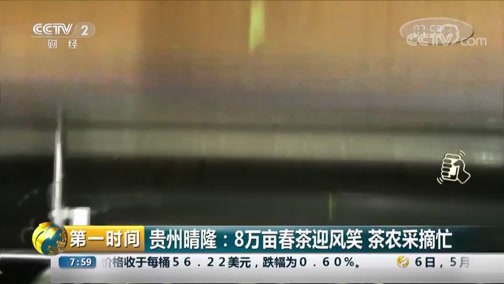 [第一时间]贵州晴隆:8万亩春茶迎风笑 茶农采摘忙CCTV节目官网CCTV2央视网(cctv.com)