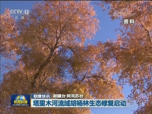 国内联播快讯