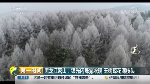 [第一时间]黑龙江密山:银光闪烁雾凇现 玉树琼花满枝头CCTV节目官网CCTV2央视网(cctv.com)