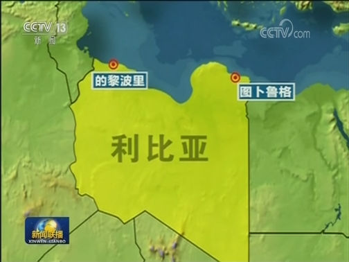 世卫组织：利比亚战事已致376人死亡