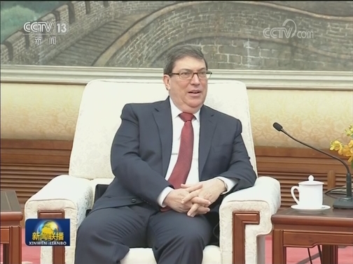 汪洋会见古巴外长
