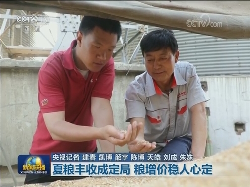 夏粮丰收成定局 粮增价稳人心定