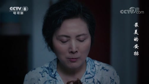 最美的安排 13集
