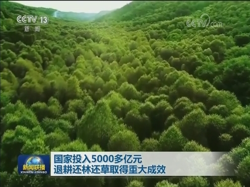 国家投入5000多亿元 退耕还林还草取得重大成效