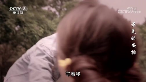 最美的安排 40集