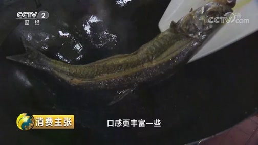 [消费主张]“傲娇的鱼” 丹江口翘嘴鲌虽娇贵却美味CCTV节目官网CCTV2央视网(cctv.com)