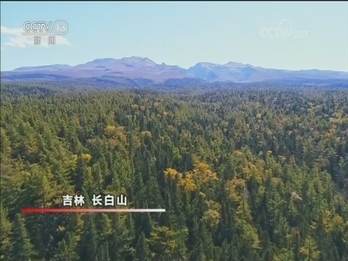 江山如此多娇