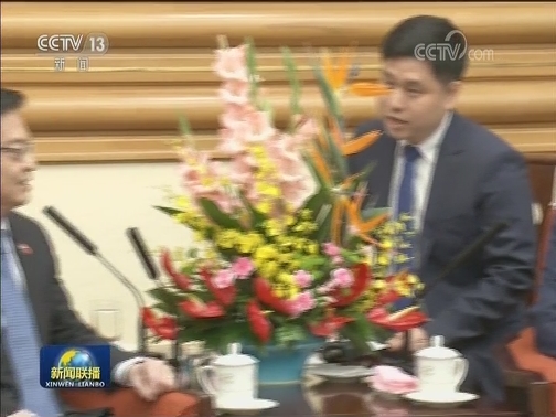 王岐山会见新加坡副总理兼财政部长