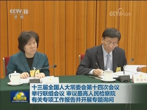 十三届全国人大常委会第十四次会议举行联组会议 审议最高人民检察院有关专项工作报告并开展专题询问