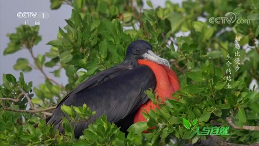 《当卢浮宫遇见紫禁城》卢浮宫的文化变迁